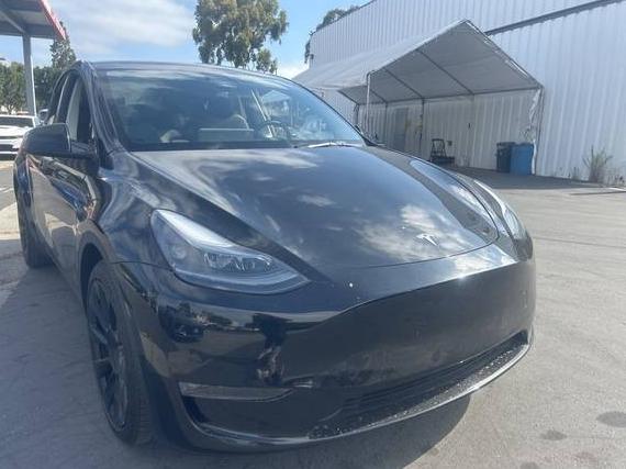 TESLA MODEL Y 2023 7SAYGDEE1PF880988 image